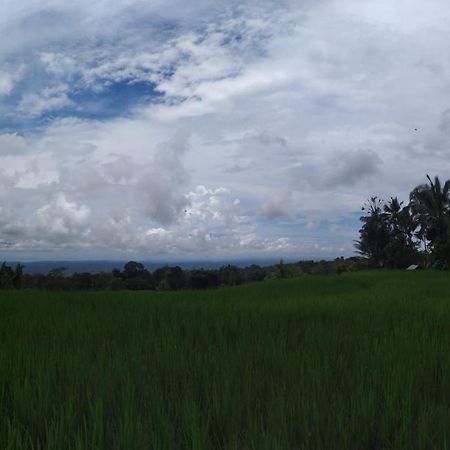 Tegal Jero Homestay Джатилувих Экстерьер фото