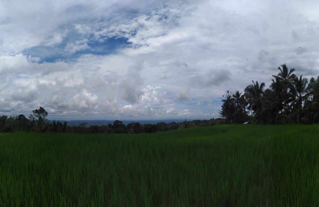 Tegal Jero Homestay Джатилувих Экстерьер фото