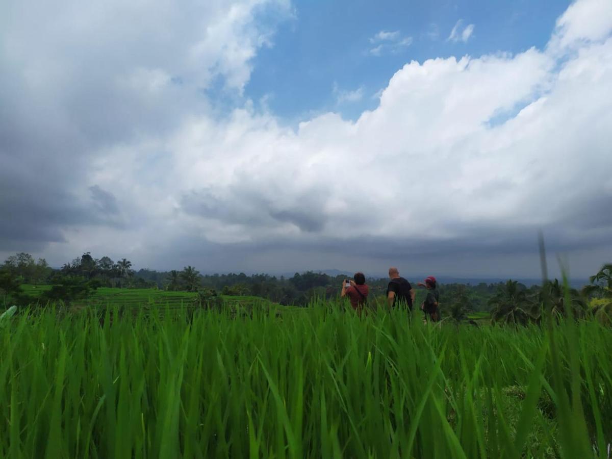 Tegal Jero Homestay Джатилувих Экстерьер фото