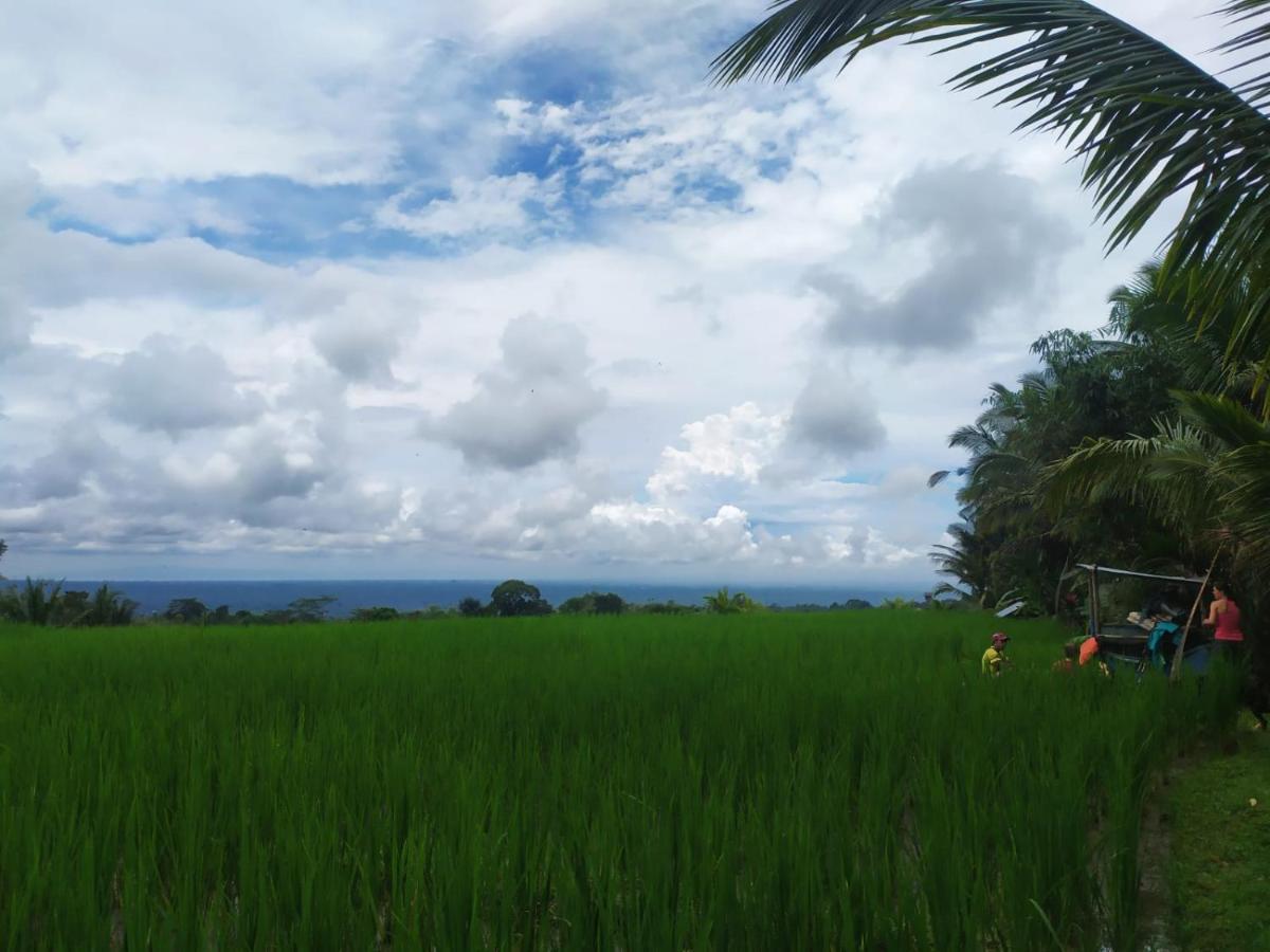 Tegal Jero Homestay Джатилувих Экстерьер фото