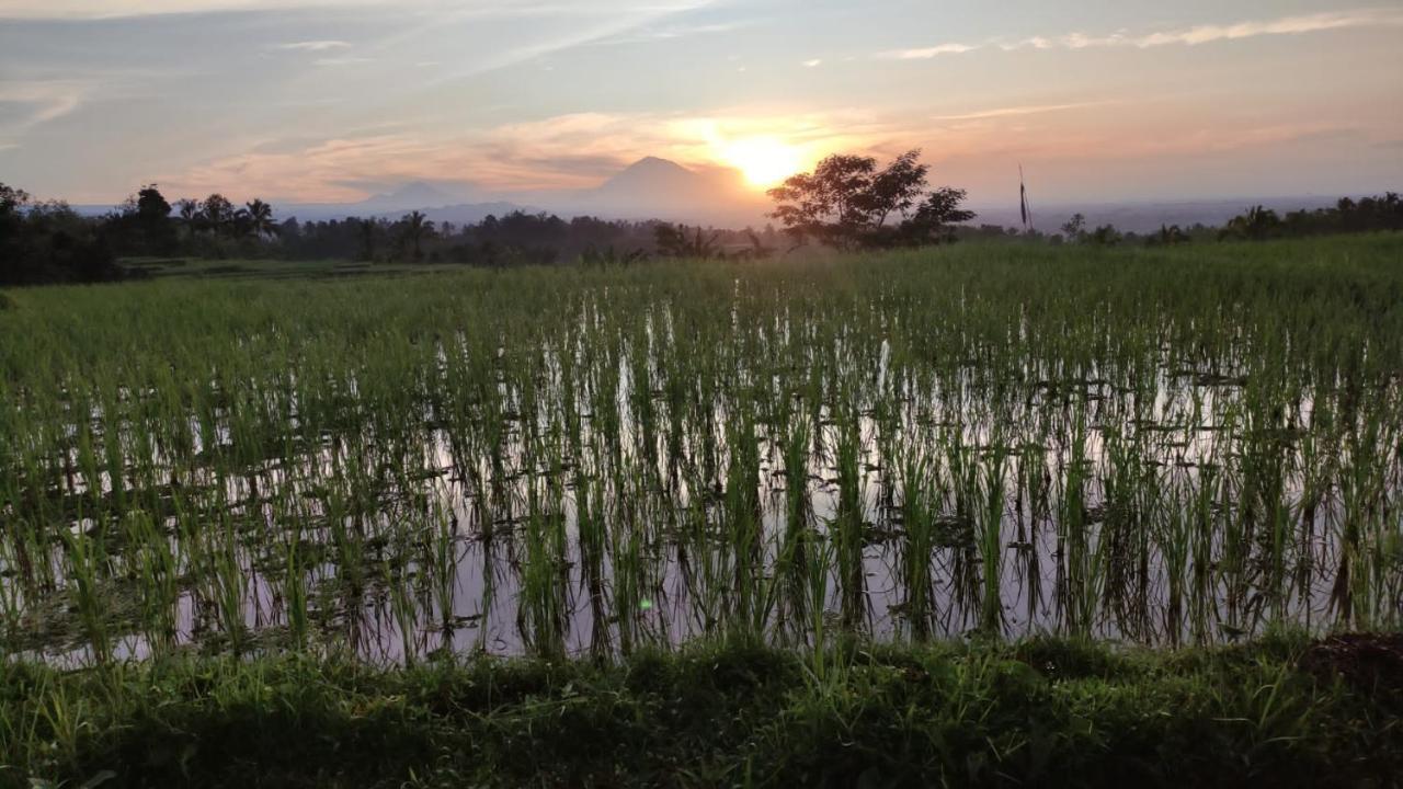 Tegal Jero Homestay Джатилувих Экстерьер фото