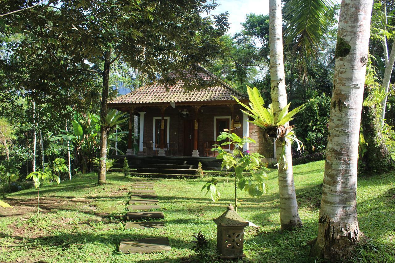 Tegal Jero Homestay Джатилувих Экстерьер фото