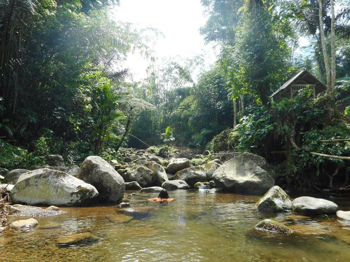 Tegal Jero Homestay Джатилувих Экстерьер фото