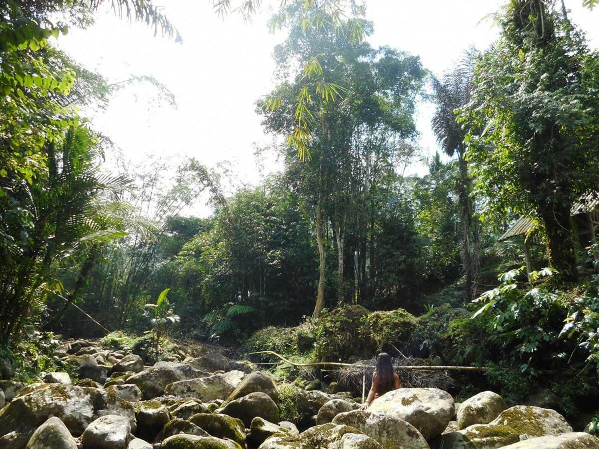Tegal Jero Homestay Джатилувих Экстерьер фото