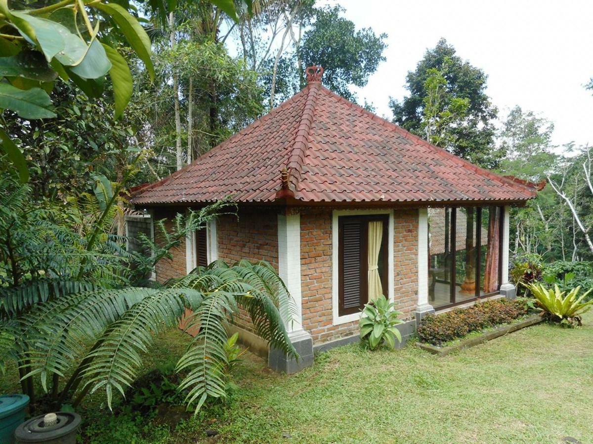 Tegal Jero Homestay Джатилувих Экстерьер фото