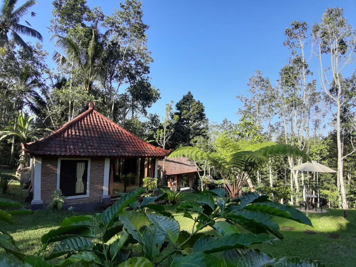 Tegal Jero Homestay Джатилувих Экстерьер фото