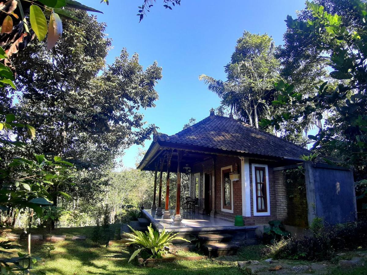 Tegal Jero Homestay Джатилувих Экстерьер фото